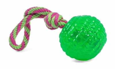 Toyz Chew Ball On A Rope Dog Toy