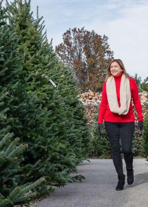 Real Christmas trees in Dublin and environs at Jones Garden Centre