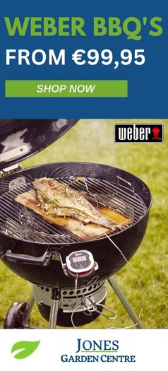 Weber bbq Jones Garden Centre