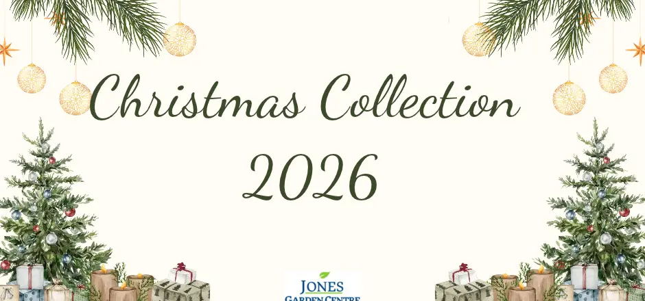 Jones's Christmas Collection 2026