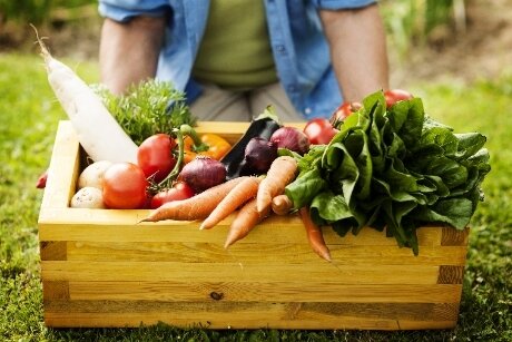 10 ways to get started in organic gardening