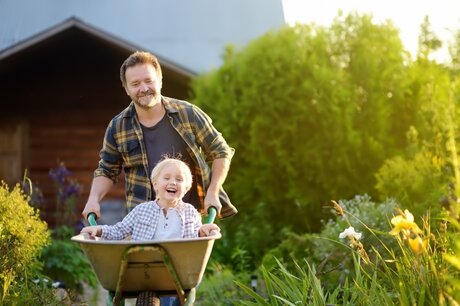 15 gardening tips for February