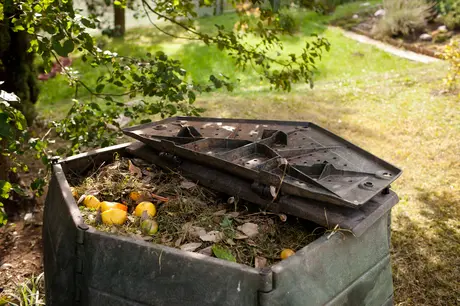 5 sustainable kitchen garden ideas