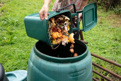 Compost: make it at home in 6 steps