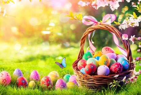 Top ten Easter gardening ideas