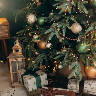 Unwrap Joy: The Best Christmas Gifts at Jones Garden Centre