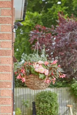 14in EcoGrass Hanging Basket - image 1