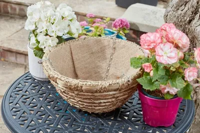 14in EcoGrass Hanging Basket - image 2