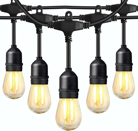 20 Led Large Edison Festoon With Drop - Connectable