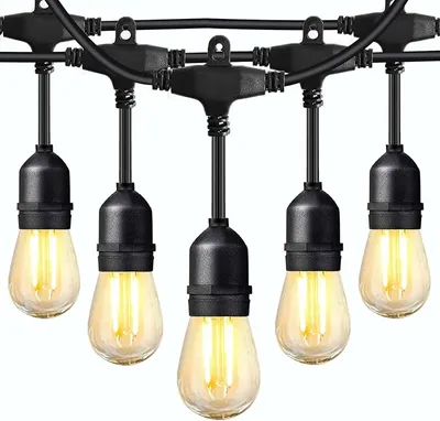 20 Led Large Edison Festoon With Drop - Connectable