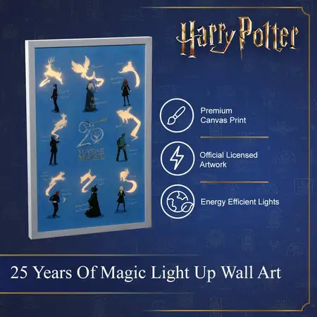 54Cm 25 Years Of Magic Led Canvas - image 3