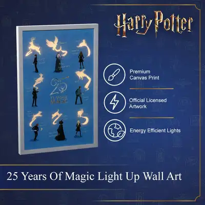 54Cm 25 Years Of Magic Led Canvas - image 3
