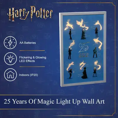 54Cm 25 Years Of Magic Led Canvas - image 4