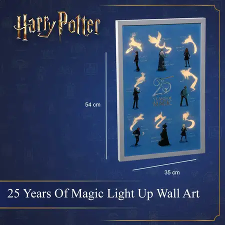 54Cm 25 Years Of Magic Led Canvas - image 5