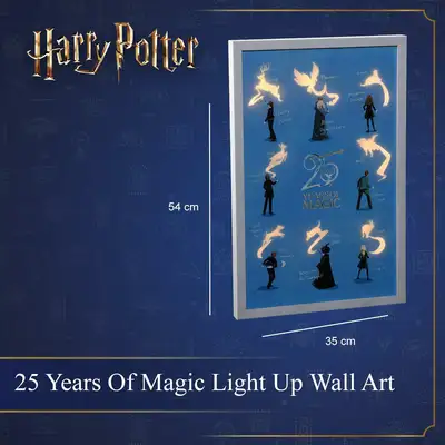 54Cm 25 Years Of Magic Led Canvas - image 5