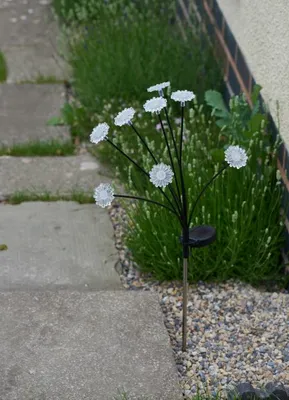 8-Stem FloraLights Warm White  Stake Light - image 3