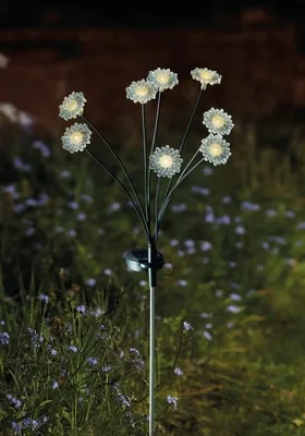 8-Stem FloraLights Warm White  Stake Light - image 2