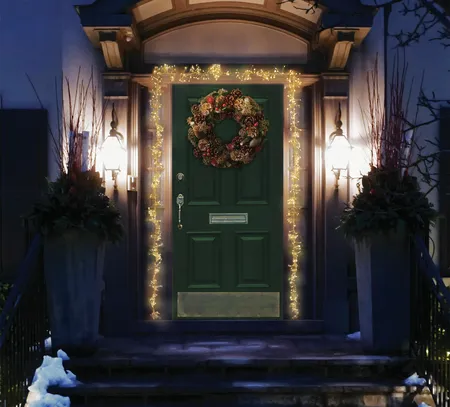 880 LED Door ClusterLights - Warm White - image 1