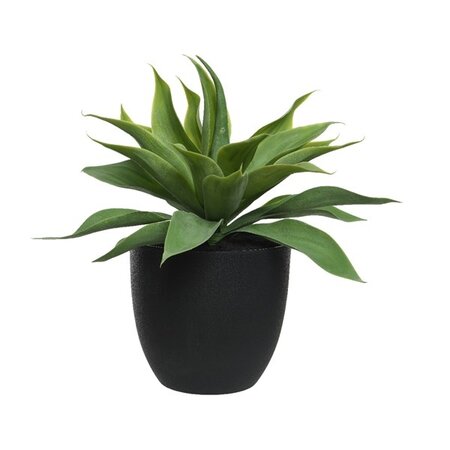 Agave In Pot Plastic H43.50cm