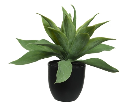 Agave Plastic Green dia37-H34.50cm