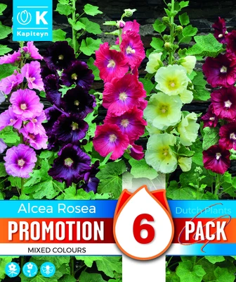 Alcea Mix