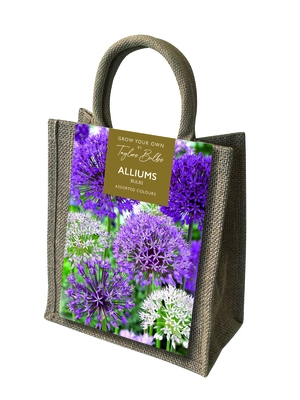 Allium Bag 10-11