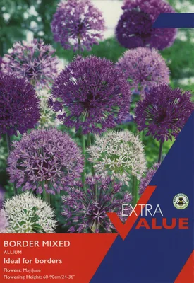 Allium Border Mixed 10-12