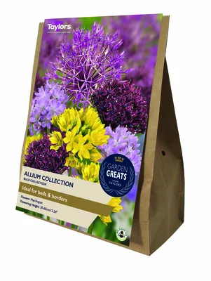 Allium Collection