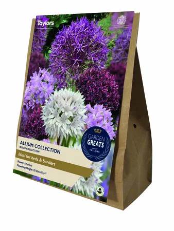 Allium Collection