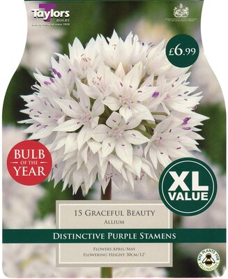 Allium Graceful Beauty - "Bulb Of The Year" 6Up