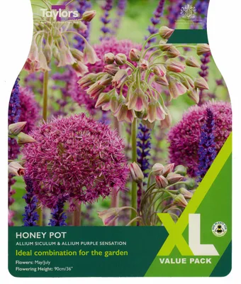 Allium Honey Pot XL