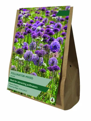 Allium Pollinator Mixed Value Bag