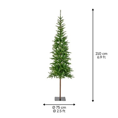Alpbach Fir green dia75-H210cm - image 3