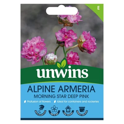 Alpine Armeria Morning Star Dpflower