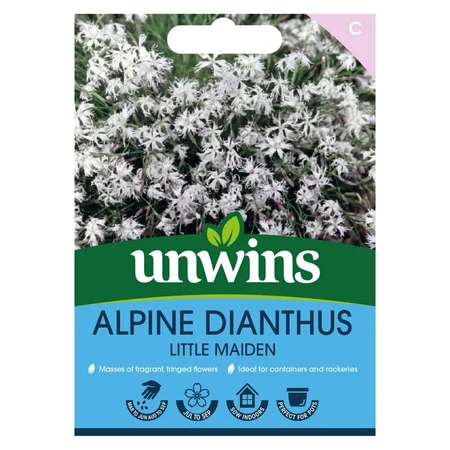 Alpine Dianthus Little Maidenflower - image 1