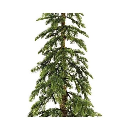 Alpine Fir H180.00Cm - image 2