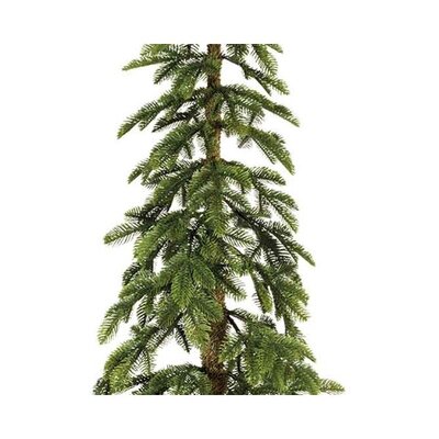 Alpine Fir H180.00Cm - image 2