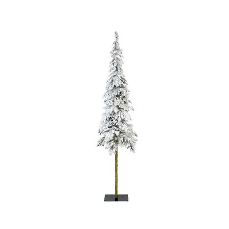 Alpine Fir Snowy H240.00Cm - image 1