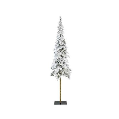 Alpine Fir Snowy H240.00Cm - image 2