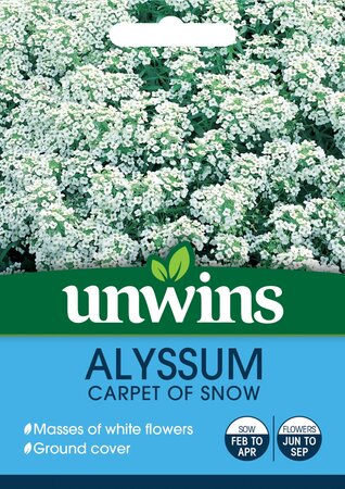 Alyssum Carpet Of Snow - image 1