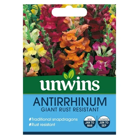 Antirrhinum Giant Rust Resistant - image 1