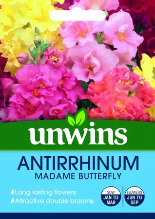 Antirrhinum Madame Butterfly - image 1