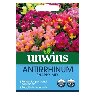 Antirrhinum 'Snappy' Mix - image 1