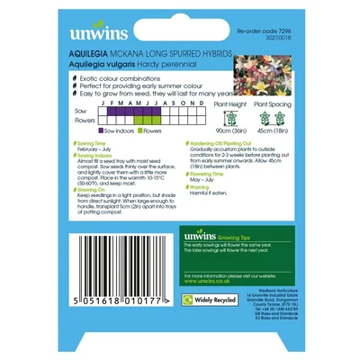 Aquilegia Mckana Long Spurred Hybrids - image 2