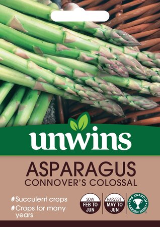 Asparagus Connover's Colossal