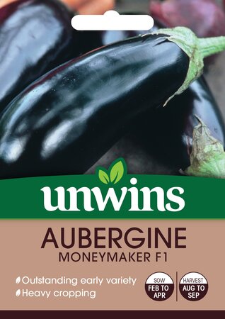 Aubergine Moneymaker F1