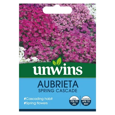 Aubrieta Spring Cascade - image 1
