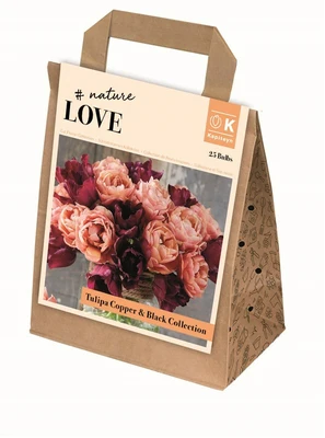 Bag Bouquet Copper&Black Tulipa Coll X25