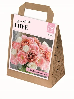 Bag Bouquet Double Pastel Tulipa Coll X25
