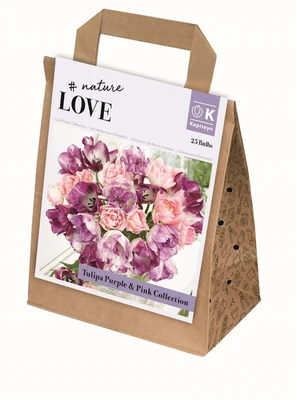 Bag Bouquet Purple&Pink Tulipa Coll X25